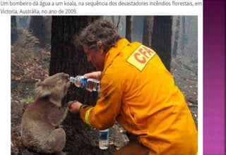 Interpretação de imagens