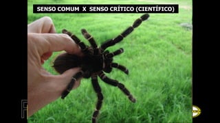 SENSO COMUM X SENSO CRÍTICO (CIENTÍFICO)
 