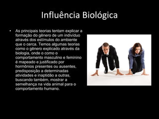 Influência Biológica As principais teorias tentam explicar a formação do gênero de um indivíduo através dos estímulos do ambiente que o cerca. Temos algumas teorias como o gênero explicado através da biologia, onde o como o comportamento masculino e feminino é mapeado e justificado por hormônios presentes ou ausentes, predisposição a determinadas atividades e inaptidão a outras, buscando também, mostrar a semelhança na vida animal para o comportamento humano. 