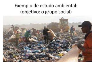 Exemplo de estudo ambiental:
(objetivo: o grupo social)
 