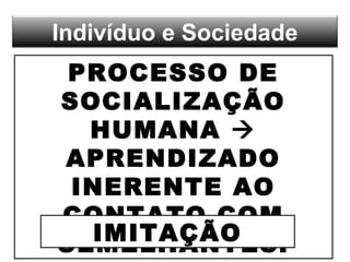 A Família socialização primária
Instituição Social  Se transformaInstituição Social  Se transforma
FAMÍLIA BURGUESA  FA...