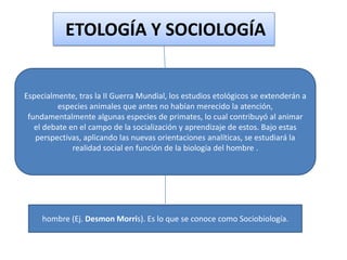 ETOLOGÍA Y SOCIOLOGÍA

Especialmente, tras la II Guerra Mundial, los estudios etológicos se extenderán a
especies animales que antes no habían merecido la atención,
fundamentalmente algunas especies de primates, lo cual contribuyó al animar
el debate en el campo de la socialización y aprendizaje de estos. Bajo estas
perspectivas, aplicando las nuevas orientaciones analíticas, se estudiará la
realidad social en función de la biología del hombre .

hombre (Ej. Desmon Morris). Es lo que se conoce como Sociobiología.

 