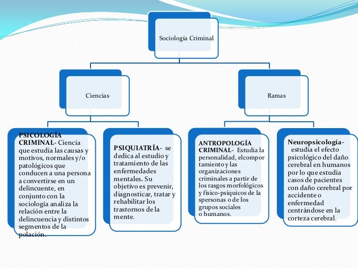Sociologia ciencias y ramas