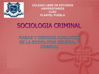COLEGIO LIBRE DE ESTUDIOS
     UNIVERSITARIOS
          CLEU
    PLANTEL PUEBLA
 