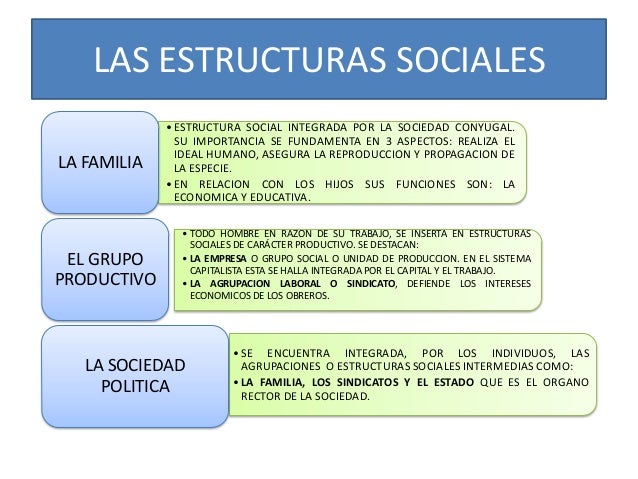 Sociologia de once