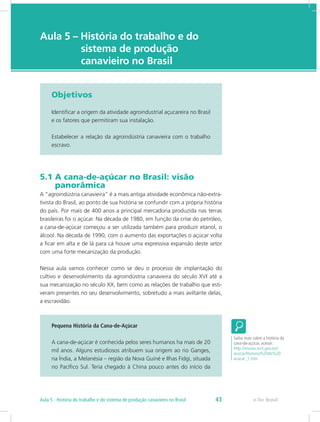e-Tec Brasil
Aula 5 – História do trabalho e do 		
		 sistema de produção 		 	
		 canavieiro no Brasil
Objetivos
Identificar a origem da atividade agroindustrial açucareira no Brasil
e os fatores que permitiram sua instalação.
Estabelecer a relação da agroindústria canavieira com o trabalho
escravo.
5.1 A cana-de-açúcar no Brasil: visão 		
panorâmica
A “agroindústria canavieira” é a mais antiga atividade econômica não-extra-
tivista do Brasil, ao ponto de sua história se confundir com a própria história
do país. Por mais de 400 anos a principal mercadoria produzida nas terras
brasileiras foi o açúcar. Na década de 1980, em função da crise do petróleo,
a cana-de-açúcar começou a ser utilizada também para produzir etanol, o
álcool. Na década de 1990, com o aumento das exportações o açúcar volta
a ficar em alta e de lá para cá houve uma expressiva expansão deste setor
com uma forte mecanização da produção.
Nessa aula vamos conhecer como se deu o processo de implantação do
cultivo e desenvolvimento da agroindústria canavieira do século XVI até a
sua mecanização no século XX, bem como as relações de trabalho que esti-
veram presentes no seu desenvolvimento, sobretudo a mais aviltante delas,
a escravidão.
Pequena História da Cana-de-Açúcar
A cana-de-açúcar é conhecida pelos seres humanos ha mais de 20
mil anos. Alguns estudiosos atribuem sua origem ao rio Ganges,
na Índia, a Melanésia – região da Nova Guiné e Ilhas Fidgi, situada
no Pacífico Sul. Teria chegado à China pouco antes do início da
Saiba mais sobre a história da
cana-de-açúcar, acesse:
http://museu.mct.gov.mz/
acucar/Historia%20do%20
acucar_1.htm
e-Tec Brasil43Aula 5 - História do trabalho e do sistema de produção canavieiro no Brasil
 