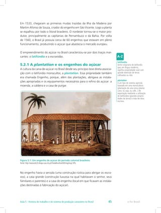 Em 1533, chegaram as primeiras mudas trazidas da Ilha da Madeira por
Martim Afonso de Souza, criador do engenho em São Vicente. Logo a planta
se espalhou por todo o litoral brasileiro. O nordeste tornou-se o maior pro-
dutor, principalmente as capitanias de Pernambuco e da Bahia. Por volta
de 1560, o Brasil já possuía cerca de 60 engenhos que estavam em pleno
funcionamento, produzindo o açúcar que abastecia o mercado europeu.
O empreendimento do açúcar no Brasil caracterizou-se por dois traços mar-
cantes: o latifúndio e a escravidão.
5.2.1 A plantation e os engenhos do açúcar
A cultura da cana-de-açúcar no Brasil desde seu princípio teve direta associa-
ção com o latifúndio monocultor, a plantation. Essa propriedade também
era chamada Engenho, porque, além das plantações, abrigava as instala-
ções apropriadas e os equipamentos necessários para o refino do açúcar: a
moenda, a caldeira e a casa de purgar.
Figura 5.1: Um engenho de açúcar do período colonial brasileiro
Fonte: http://www.eb23-diogo-cao.rcts.pt/Trabalhos/bra500/img/eng2.JPG
No engenho havia a senzala (uma construção rústica para abrigar os escra-
vos), a casa grande (construção luxuosa na qual habitavam o senhor, seus
familiares e parentes) e a casa do engenho (local em que ficavam as instala-
ções destinadas à fabricação do açúcar).
latifúndio
termo originário de latifundiu
que, em língua moderna,
significa propriedade rural com
grande extensão de terras
cultivadas ou não.
plantation
é um tipo de sistema agrícola
baseado em uma monocultura
(plantação de uma única planta:
cana, ou soja, ou café...) de
exportação mediante a utilização
de latifúndios (grandes proprie-
dades de terras) e mão-de-obra
escrava.
e-Tec BrasilAula 5 - História do trabalho e do sistema de produção canavieiro no Brasil 45
 