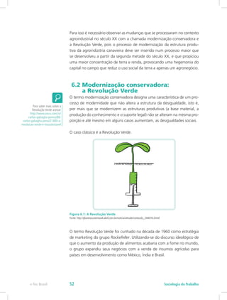 Para isso é necessário observar as mudanças que se processaram no contexto
agroindustrial no século XX com a chamada modernização conservadora e
a Revolução Verde, pois o processo de modernização da estrutura produ-
tiva da agroindústria canavieira deve ser inserido num processo maior que
se desenvolveu a partir da segunda metade do século XX, e que propiciou
uma maior concentração de terra e renda, provocando uma hegemonia do
capital no campo que reduz o uso social da terra a apenas um agronegócio.
6.2 Modernização conservadora: 			
a Revolução Verde
O termo modernização conservadora designa uma característica de um pro-
cesso de modernidade que não altera a estrutura da desigualdade, isto é,
por mais que se modernizem as estruturas produtivas (a base material, a
produção do conhecimento e o suporte legal) não se alteram na mesma pro-
porção e até mesmo em alguns casos aumentam, as desigualdades sociais.
O caso clássico é a Revolução Verde.
Figura 6.1: A Revolução Verde
Fonte: http://planetasustentavel.abril.com.br/notícia/atitude/conteudo_244070.shtml
O termo Revolução Verde foi cunhado na década de 1960 como estratégia
de marketing do grupo Rockefeller. Utilizando-se do discurso ideológico de
que o aumento da produção de alimentos acabaria com a fome no mundo,
o grupo expandiu seus negócios com a venda de insumos agrícolas para
países em desenvolvimento como México, Índia e Brasil.
Para saber mais sobre a
Revolução Verde acesse:
http://www.oeco.com.br/
carlos-gabaglia-penna/88-
carlos-gabaglia-pena/21480-a-
revolucao-verde-e-insustentavel
e-Tec Brasil Sociologia do Trabalho52
 