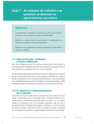 e-Tec Brasil
Aula 7 – As relações de trabalho e as 		
		 questões ambientais na 			
		 agroindústria canavieira
Objetivos
Compreender as relações de trabalho do setor agroindustrial
canavieiro como elemento da relação capital/trabalho.
Identificar os traços básicos da precarização e flexibilização das
relações de trabalho no setor sucroalcooleiro.
Perceber como a dinâmica do capital na expansão sucroalcooleira
impacta o ambiente.
7.1 Apresentação: trabalho 				
e meio-ambiente
Bom, aqui chegamos ao fim. Para terminar nossas aulas vamos estudar as
consequências das atividades agroindustriais do setor sucroalcooleiro para o
meio ambiente e, sobretudo, para o mundo do trabalho.
O cultivo da cana-de-açúcar avança de maneira forte e rápida por várias regiões
do país. Isso acontece talvez por causa da legislação ambiental mais rígida no
estado de São Paulo, ou em função do barateamento no custo de produção,
fruto da flexibilização das relações de trabalho e do avanço tecnológico. Enfim
este avanço pode e tem provocado questões que merecem nossa reflexão.
7.2 O capital e a desumanização 			
do trabalho
No decorrer de nossos estudos estamos percebendo que o capital vem ope-
rando o aprofundamento da separação entre a produção voltada genui-
namente para o atendimento das necessidades humanas e as suas neces-
sidades de reprodução. Isto é, na sociedade capitalista, cada vez mais a
produção não tem finalidade de humanizar a natureza e, ao mesmo tempo
humanizar o homem, muito pelo contrário, na lógica do capital, a produção
tem fim apenas de reproduzir o próprio capital e aumentar a lucratividade.
e-Tec Brasil59Aula 7 - As relações de trabalho e as questões ambientais na agroindústria canavieira
 