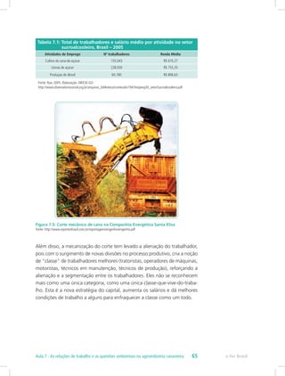 Tabela 7.1: Total de trabalhadores e salário médio por atividade no setor
sucroalcooleiro, Brasil – 2005
Atividades de Emprego Nº trabalhadores Renda Média
Cultivo de cana-de-açúcar 155.043 R$ 670,27
Usinas de açúcar 228.930 R$ 755,35
Produçao de álcool 60.180 R$ 806,63
Fonte: Rais 2005. Elaboração: DIEESE-GO
http://www.observatoriosocial.org.br/arquivos_biblioteca/conteudo/1947estpesq30_setorSucroalcooleiro.pdf
Figura 7.5: Corte mecânico de cana na Companhia Energética Santa Elisa
Fonte: http://www.reporterbrasil.com.br/reportagens/engenho/engenho.pdf
Além disso, a mecanização do corte tem levado a alienação do trabalhador,
pois com o surgimento de novas divisões no processo produtivo, cria a noção
de “classe” de trabalhadores melhores (tratoristas, operadores de máquinas,
motoristas, técnicos em manutenção, técnicos de produção), reforçando a
alienação e a segmentação entre os trabalhadores. Eles não se reconhecem
mais como uma única categoria, como uma única classe-que-vive-do-traba-
lho. Esta é a nova estratégia do capital, aumenta os salários e dá melhores
condições de trabalho a alguns para enfraquecer a classe como um todo.
e-Tec Brasil65Aula 7 - As relações de trabalho e as questões ambientais na agroindústria canavieira
 