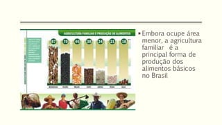  Embora ocupe área
menor, a agricultura
familiar é a
principal forma de
produção dos
alimentos básicos
no Brasil
 