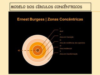 MODELO DOS CÍRCULOS CONCÊNTRICOS
 