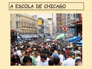 A ESCOLA DE CHICAGO
 