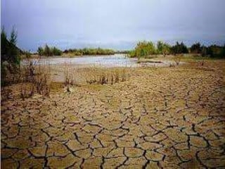 Sociologiafinal 100208152255-phpapp02