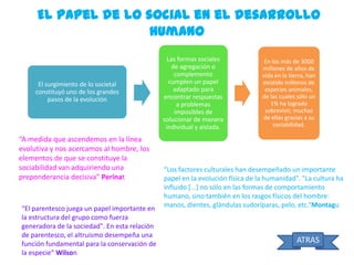 El papel de lo social en el desarrollo
humano

El surgimiento de lo societal
constituyó uno de los grandes
pasos de la evolución

“A medida que ascendemos en la línea
evolutiva y nos acercamos al hombre, los
elementos de que se constituye la
sociabilidad van adquiriendo una
preponderancia decisiva” Perinat

“El parentesco juega un papel importante en
la estructura del grupo como fuerza
generadora de la sociedad". En esta relación
de parentesco, el altruismo desempeña una
función fundamental para la conservación de
la especie” Wilson

Las formas sociales
de agregación o
complemento
cumplen un papel
adaptado para
encontrar respuestas
a problemas
imposibles de
solucionar de manera
individual y aislada.

En los más de 3000
millones de años de
vida en la tierra, han
existido millones de
especies animales,
de las cuales sólo un
1% ha logrado
sobrevivir, muchas
de ellas gracias a su
sociabilidad.

“Los factores culturales han desempeñado un importante
papel en la evolución física de la humanidad". "La cultura ha
influido [...] no sólo en las formas de comportamiento
humano, sino también en los rasgos físicos del hombre:
manos, dientes, glándulas sudoríparas, pelo, etc.“Montagu

ATRAS

 