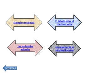 Etología y sociología

Las sociedades
animales

REGRESAR

El debate sobre el
continuo social

Los orígenes de la
sociedad humana

 