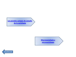 Los grandes campos de estudio
de la sociología

Macrosociología y
microsociología

REGRESAR

 