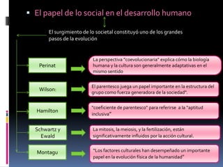  El papel de lo social en el desarrollo humano
El surgimiento de lo societal constituyó uno de los grandes
pasos de la evolución

Perinat

La perspectiva "coevolucionaria" explica cómo la biología
humana y la cultura son generalmente adaptativas en el
mismo sentido

Wilson:

El parentesco juega un papel importante en la estructura del
grupo como fuerza generadora de la sociedad".

Hamilton
Schwartz y
Ewald
Montagu

"coeficiente de parentesco“ para referirse a la “aptitud
inclusiva”
La mitosis, la meiosis, y la fertilización, están
significativamente influidos por la acción cultural.
“Los factores culturales han desempeñado un importante
papel en la evolución física de la humanidad"

 