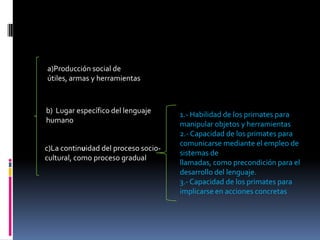 a)Producción social de
útiles, armas y herramientas

b) Lugar específico del lenguaje
humano

c)La continuidad del proceso sociocultural, como proceso gradual

1.- Habilidad de los primates para
manipular objetos y herramientas
2.- Capacidad de los primates para
comunicarse mediante el empleo de
sistemas de
llamadas, como precondición para el
desarrollo del lenguaje.
3.- Capacidad de los primates para
implicarse en acciones concretas

 