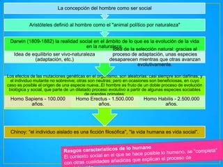 La concepción del hombre como ser social
Aristóteles definió al hombre como el "animal político por naturaleza"
Darwin (1809-1882) la realidad social en el ámbito de lo que es la evolución de la vida
en la naturaleza.
Idea de la selección natural: gracias al
Idea de equilibrio ser vivo-naturaleza
proceso de adaptación, unas especies
(adaptación, etc.)
desaparecen mientras que otras avanzan
evolutivamente.
Los efectos de las mutaciones genéticas en el organismo, son aleatorias: casi siempre son dañinas, y
el individuo mutante no sobrevive; otras son neutras; pero en ocasiones son beneficiosas, en cuyo
caso es posible el origen de una especie nueva..El hombre es fruto de un doble proceso de evolución
biológica y social, que parte de un dilatado proceso evolutivo a partir de algunas especies sociables
de grandes primates:

Homo Sapiens - 100.000
años.

Homo Erectus - 1.500.000
años.

Homo Habilis - 2.500.000
años.

Chinoy: "el individuo aislado es una ficción filosófica", "la vida humana es vida social".

 