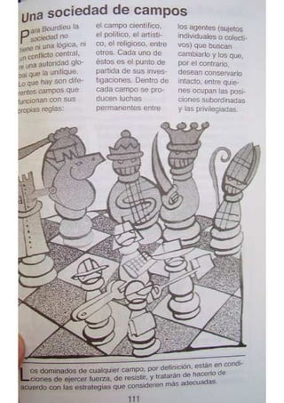 Sociologia para principiantes