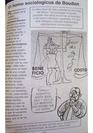 Sociologia para principiantes