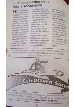 Sociologia para principiantes