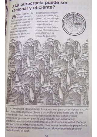 Sociologia para principiantes