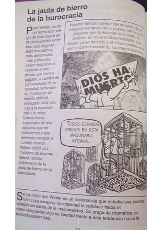 Sociologia para principiantes