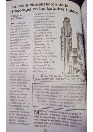 Sociologia para principiantes