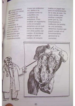 Sociologia para principiantes