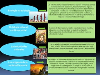 Etología y sociología

El debate sobre el
continuo social

Las sociedades
animales

Los orígenes de la
sociedad humana

Los estudios etológicos se extenderán a especies animales que antes
no habían merecido la atención, fundamentalmente algunas
especies de primates, lo cual contribuyó al animar el debate en el
campo de la socialización y aprendizaje de estos. Bajo estas
perspectivas, aplicando las nuevas orientaciones analíticas, se
estudiará la realidad social en función de la biología del hombre. Es
lo que se conoce como Socio biología.

El estudio de distintas comunidades sociales (primates, insectos,
lobos, etc.) permite profundizar en los distintos tipos de
relaciones sociales (territorialidad, dominio, cuidado materno,
estimulación mutua)

Las sociedades animales son agrupaciones naturales. Es un error
decir así la ley del más fuerte, realmente, es el que mejor esté
adaptado para proteger, asegurarle supervivencia y la tranquilidad
al grupo.

El concepto de sociedad humana se define como una agrupación de
personas interrelacionadas a través de un conjunto de actividades
económicas, sociales, culturales y políticas, que cumplen, con la
cooperación de sus integrantes. Su origen no es muy claro se
presentan tres teorías de las cuales tratan el origen de la sociedad

humana.

 