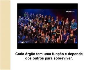 Cada órgão tem uma função e depende
     dos outros para sobreviver.
 