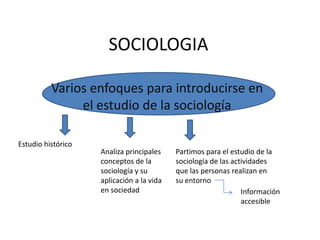 SOCIOLOGIA Varios enfoques para introducirse en el estudio de la sociología Estudio histórico Analiza principales conceptos de la sociología y su aplicación a la vida en sociedad Partimos para el estudio de la sociología de las actividades que las personas realizan en su entorno Información accesible 