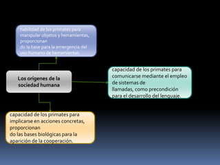 habilidad de los primates para
manipular objetos y herramientas,
proporcionan
do la base para la emergencia del
uso humano de herramientas.

Los orígenes de la
sociedad humana

capacidad de los primates para
implicarse en acciones concretas,
proporcionan
do las bases biológicas para la
aparición de la cooperación.

capacidad de los primates para
comunicarse mediante el empleo
de sistemas de
llamadas, como precondición
para el desarrollo del lenguaje.

 
