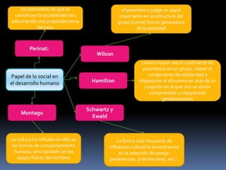 los elementos de que se
constituye la sociabilidad van
adquiriendo una preponderancia
decisiva

Perinat:

Papel de lo social en
el desarrollo humano

Montagu

La cultura ha influido no sólo en
las formas de comportamiento
humano, sino también en los
rasgos físicos del hombre:

el parentesco juega un papel
importante en la estructura del
grupo [como] fuerza generadora
de la sociedad

Wilson

Hamilton

cuanto mayor sea el coeficiente de
parentesco en un grupo, mayor el
componente de solidaridad y
disposición al altruismo en aras de un
conjunto en el que uno se siente
comprendido y reduplicado
genéticamente

Schwartz y
Ewald

La forma más frecuente de
influencia cultural la encontramos
en la selección de pareja:
preferencias, prohibiciones, etc.".

 