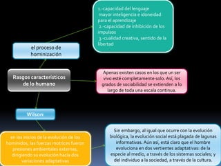 el proceso de
hominización

Rasgos característicos
de lo humano

1.-capacidad del lenguaje
mayor inteligencia e idoneidad
para el aprendizaje
2.-capacidad de inhibición de los
impulsos
3.-cualidad creativa, sentido de la
libertad

Apenas existen casos en los que un ser
vivo esté completamente solo. Así, los
grados de sociabilidad se extienden a lo
largo de toda una escala continua.

Wilson:

en los inicios de la evolución de los
homínidos, las fuerzas motrices fueron
presiones ambientales externas,
dirigiendo su evolución hacia dos
variaciones adaptativas

Sin embargo, al igual que ocurre con la evolución
biológica, la evolución social está plagada de lagunas
informativas. Aún así, está claro que el hombre
evoluciona en dos vertientes adaptativas: de la
especie al medio, a través de los sistemas sociales; y
del individuo a la sociedad, a través de la cultura.

 