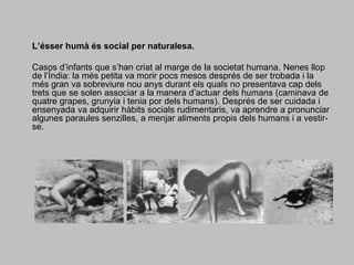 L’ésser humà és social per naturalesa.Casos d’infants que s’han criat al marge de la societat humana. Nenes llop de l’Índia: la més petita va morir pocs mesos després de ser trobada i la més gran va sobreviure nou anys durant els quals no presentava cap dels trets que se solen associar a la manera d’actuar dels humans (caminava de quatre grapes, grunyia i tenia por dels humans). Després de ser cuidada i ensenyada va adquirir hàbits socials rudimentaris, va aprendre a pronunciar algunes paraules senzilles, a menjar aliments propis dels humans i a vestir-se.