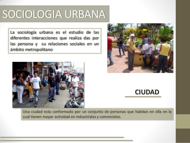 Sociologia urbana