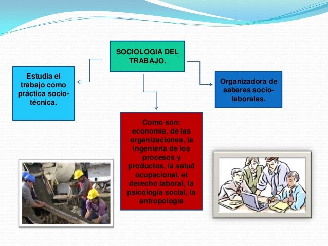 Sociologia y antropologia del trabajo mariagabielacastiilo