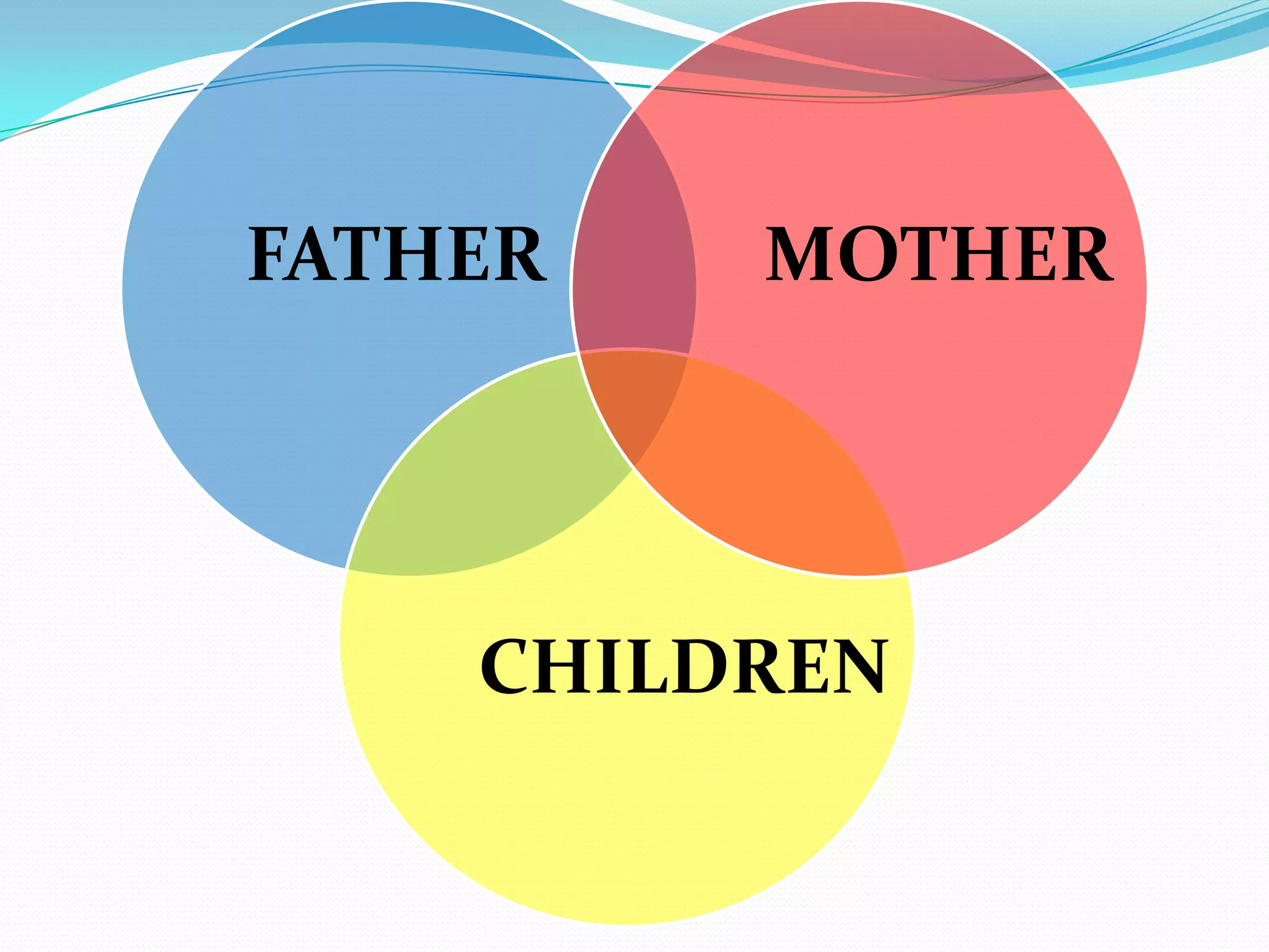 THE STRUCTURAL PERSPECTIVE
