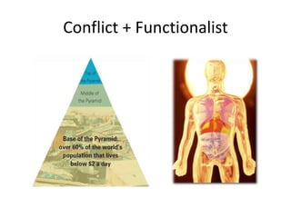 Conflict + Functionalist
 