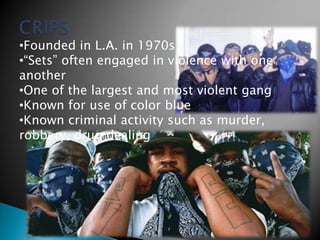 The absence of positive male role models is best predictor of gang membershipGangs and violenceGang access to firearms increases lethal violence in incidents that could have been settled with less than lethal meansYouth membership involvement in weapon use, drugs, criminal activity increasing in the culture of gangs