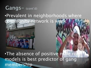 GangsServe as a substitute family to members that join