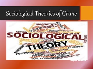 Sociological Theories of Crime
Aqsa shahid
 