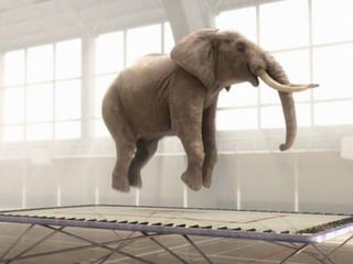 Les opportunités du Web social
L'éléphant dans le salon
Les nouveaux plans du web collectif
Dveloppement des médias sociaux, avec un nombre toujours plus grandissant
de relations
Favorise paradoxalement un retour vers l’entre-soi
Internet est-il toujours un espace de créativité ?
Quel rôle peut jouer la confiance dans cet environnement ?
 