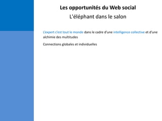 Les opportunités du Web social
L'éléphant dans le salon
L’expert c’est tout le monde dans le cadre d’une intelligence collective et d’une
alchimie des multitudes
Connections globales et individuelles
 