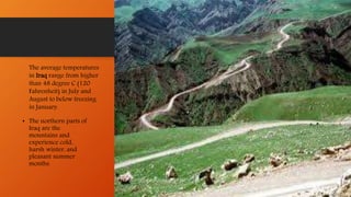 • The northern parts of
Iraq are the
mountains and
experience cold,
harsh winter, and
pleasant summer
months.
The average temperatures
in Iraq range from higher
than 48 degree C (120
Fahrenheit) in July and
August to below freezing
in January.
 