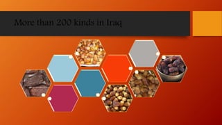 More than 200 kinds in Iraq
 