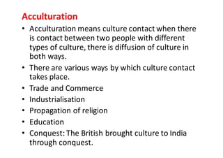 Sociology | PDF